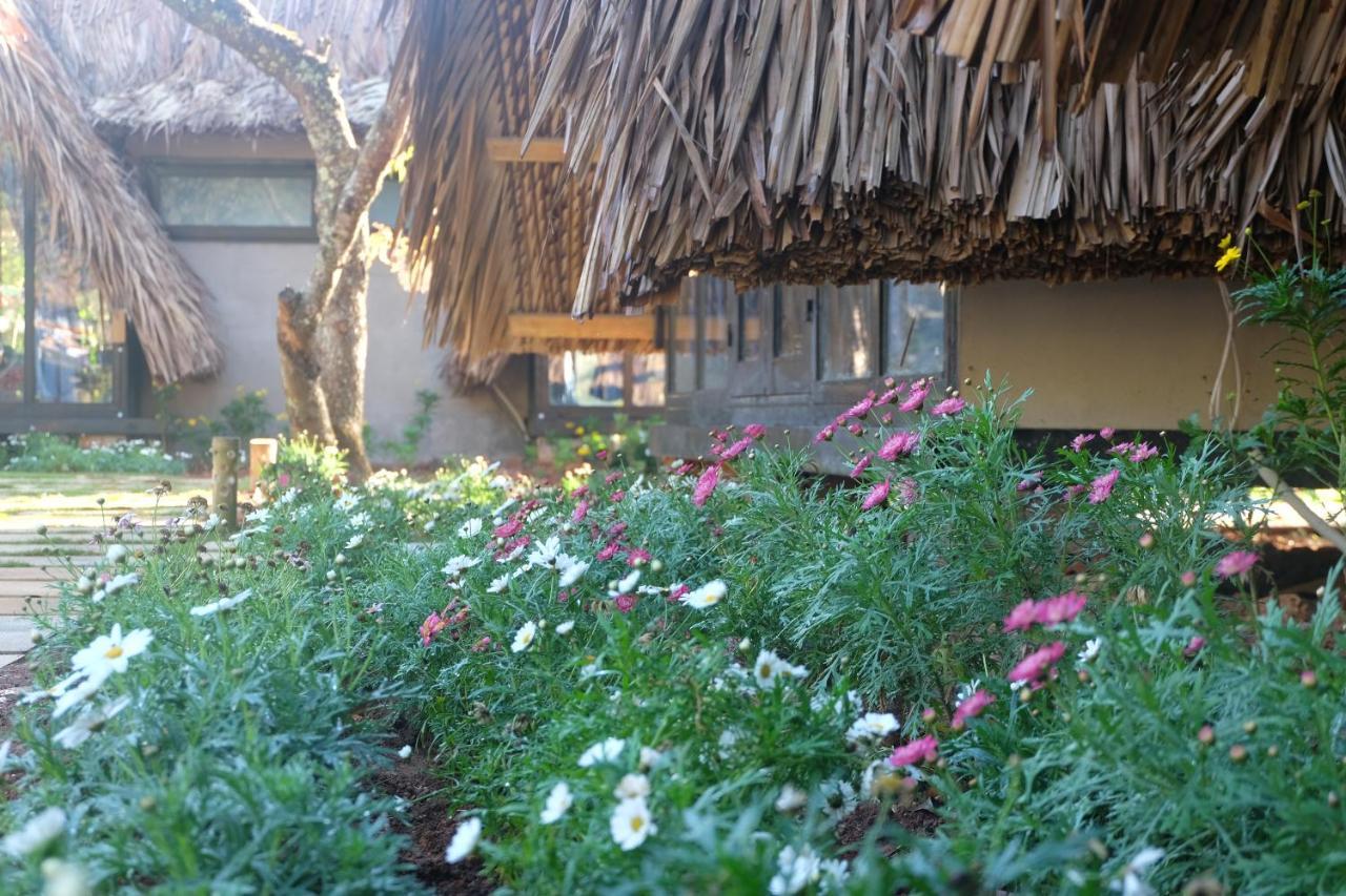 L'Amant Homestay Νταλάτ Εξωτερικό φωτογραφία