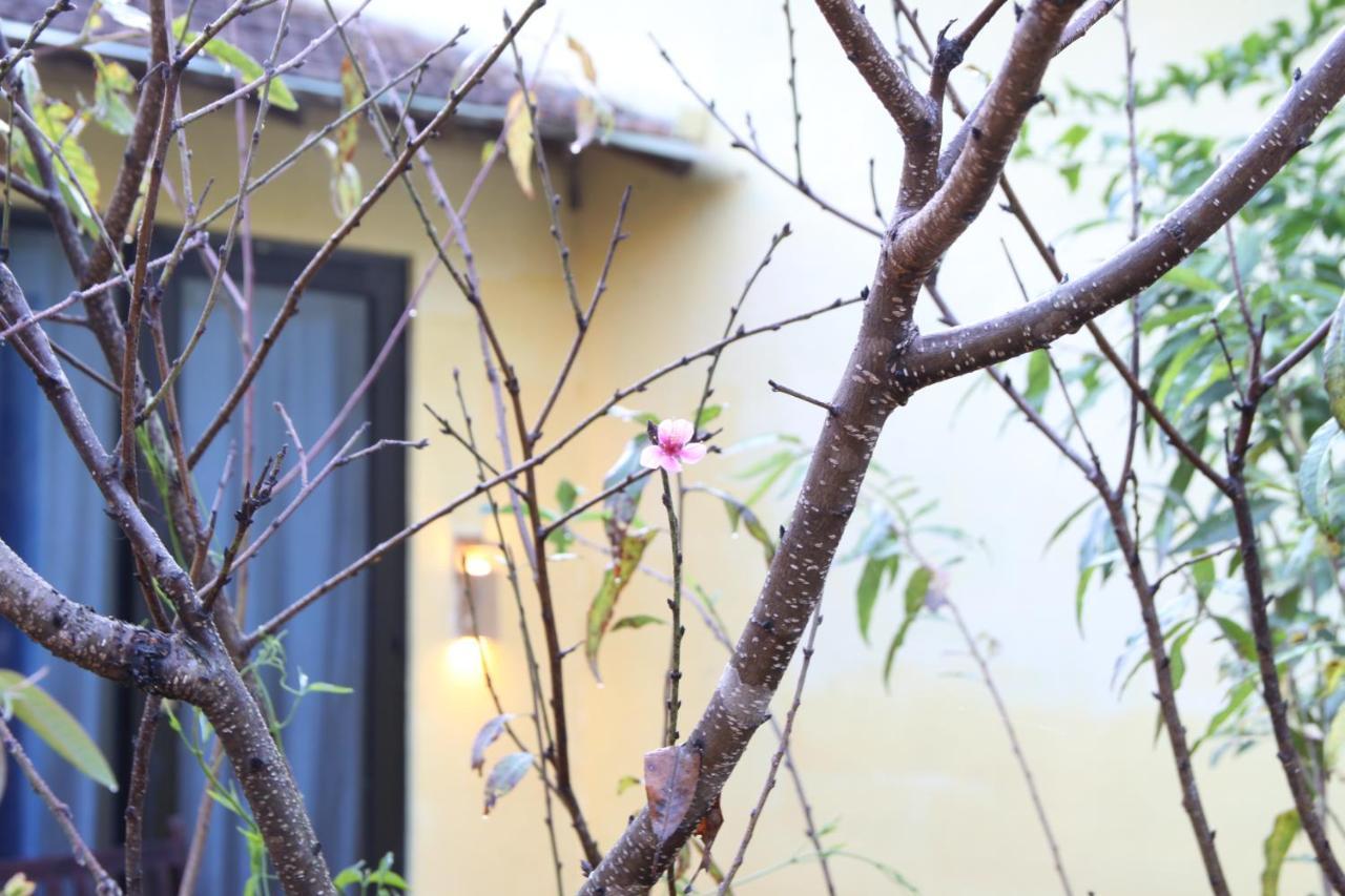 L'Amant Homestay Νταλάτ Εξωτερικό φωτογραφία