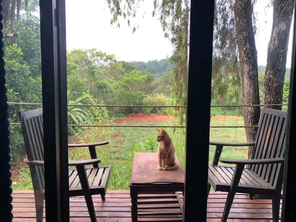 L'Amant Homestay Νταλάτ Εξωτερικό φωτογραφία